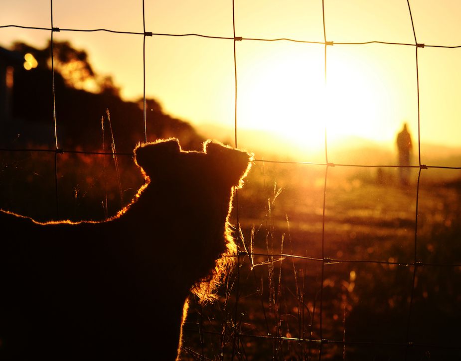 We're All in This Together